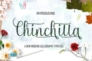 Chinchilla: A Smooth, Luxury Script Font for Small Business Branding