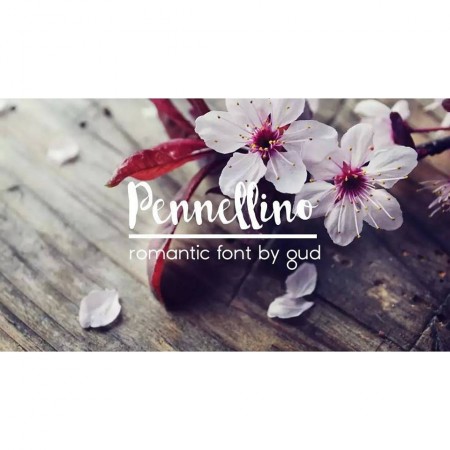 Pennellino: A Brush Script Typeface That Elevates Digital Branding