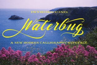 Waterbug: A Handwritten Font That Elevates Digital Branding